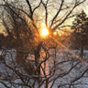 Meet your Posher, Jerome